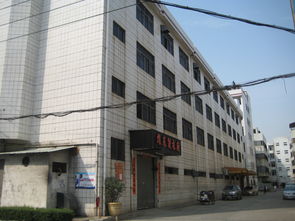 东莞市农村社区集体资产管理网之四方围E厂资产管理分析